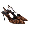 5U13-Leopardo